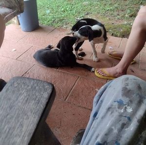 Meet your Posher, Edward